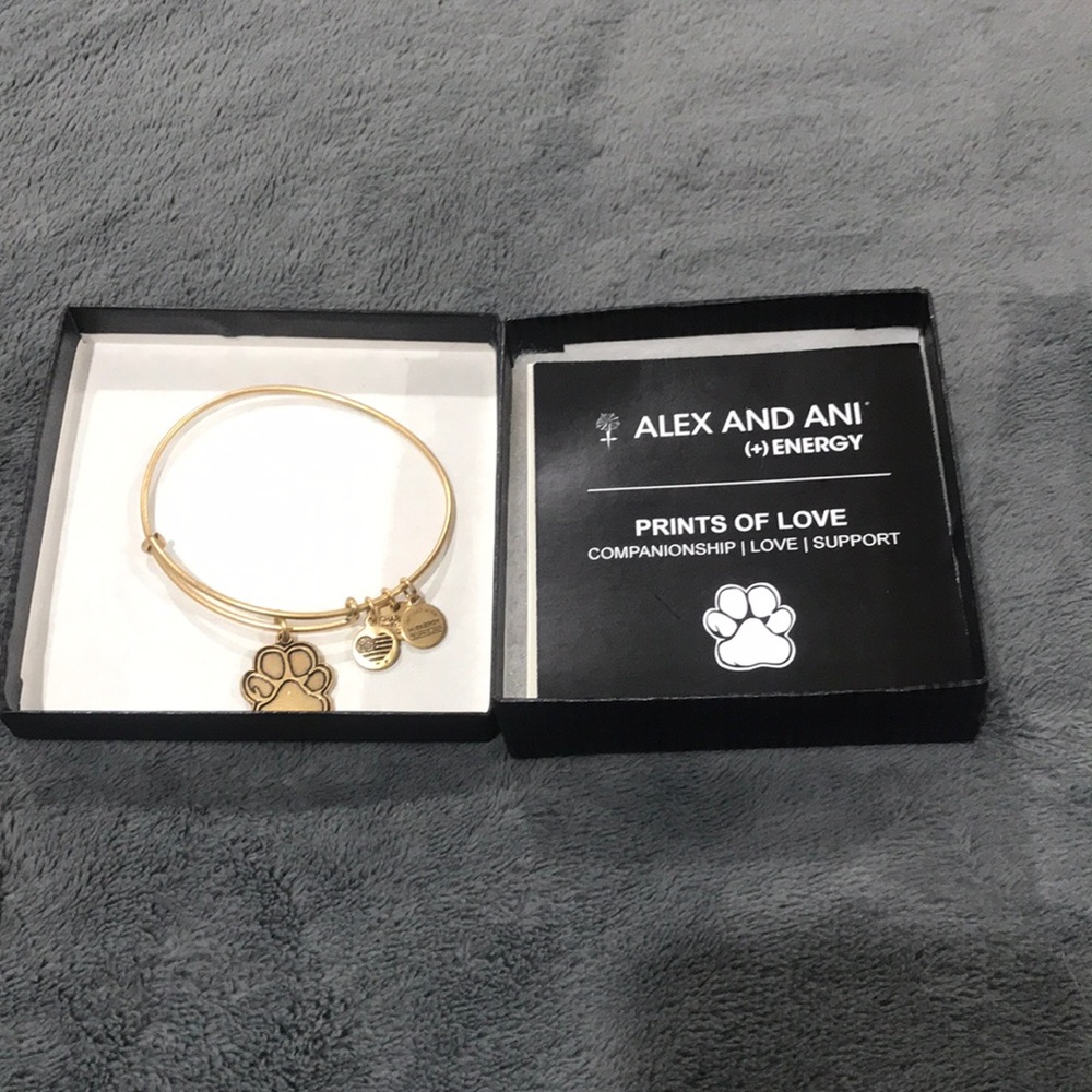 Alex and Ani Companion Bracelet